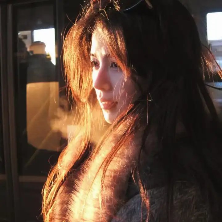 狗岛的宝藏