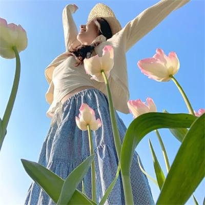 叛国疑云